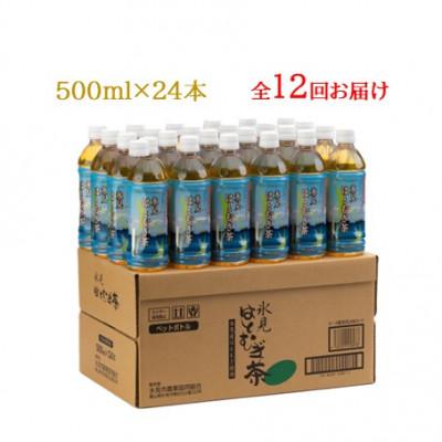 ふるさと納税 氷見市 【毎月定期便】氷見はとむぎ茶 ペットボトル 500ml × 24本全12回 |  | 03