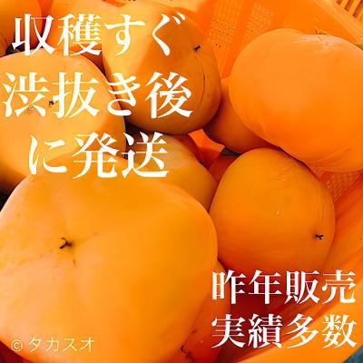 ふるさと納税 紀の川市 和歌山 柿農家直送 タカスオ農園 種無し柿 贈答用 2L主 大玉 7個入り 平均糖度16 |  | 01