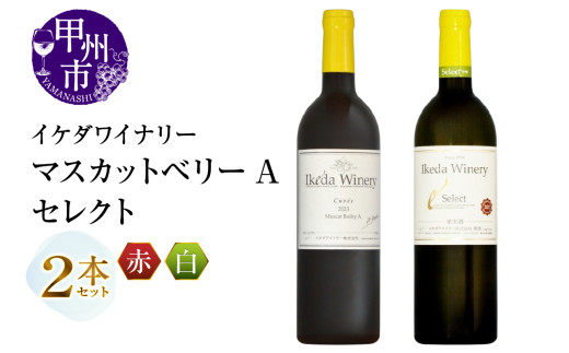 イケダワイナリー 2本セット【マスカットベリーA / セレクト白】（MG）B14-662