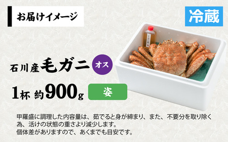 【姿】【成前特選】美味しさ直送！北陸産毛ガニ900ｇ前後×1杯（オス） [F-028009_01] / 毛ガニ