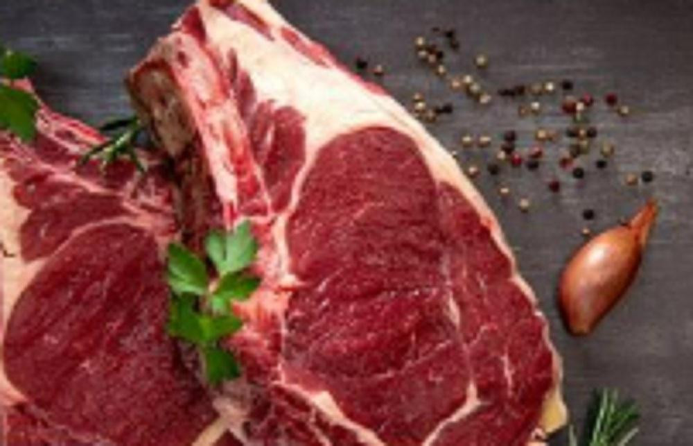 
                  北海道 標茶町産 エゾ 鹿肉 骨付きかた肉 約2kg【 肉 にく 鹿肉 ジビエ ＢＢＱ バーベキュー グルメ ヘルシー 高タンパク 標茶町 北海道 】
                