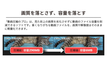 動画軽量化ソフト 動画圧縮のプロ オンラインコード版 | パソコンソフト