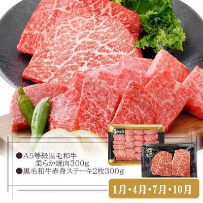 ふるさと納税 枕崎市 定期便3回配送　お肉とお魚よりどり定期便 LL-6016 |  | 01