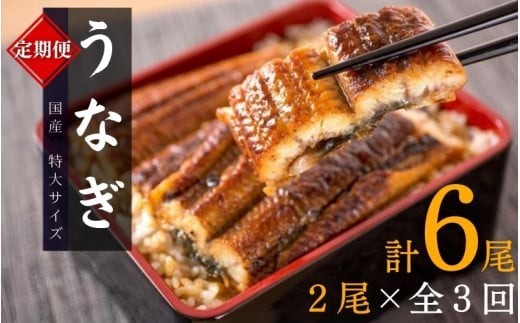 
                  【3回定期便】【毎月お届け】大型サイズ ふっくら柔らか 国産うなぎ蒲焼き 2尾×3回 計6尾 約1020g / 定期便 うなぎ 鰻 国産 蒲焼 蒲焼き うな重 うな丼 ひつまぶし たれ 人気 贈答 贈り物 ギフト プレゼント お祝い 冷凍便 クール便 【tkb309】
                