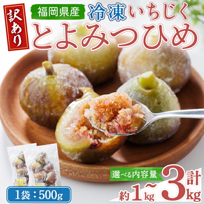 【ふるさと納税】＜不揃い・訳あり＞ 冷凍いちじく博多 とよみつひめ (計約1kg～3kg) 冷凍 いちじく イチジク フルーツ 果物 くだもの 福岡限定 オリジナルブランド＜離島配送不可＞【ksg1756・ksg1757・ksg1758】【農産物直売所ほたるの里】