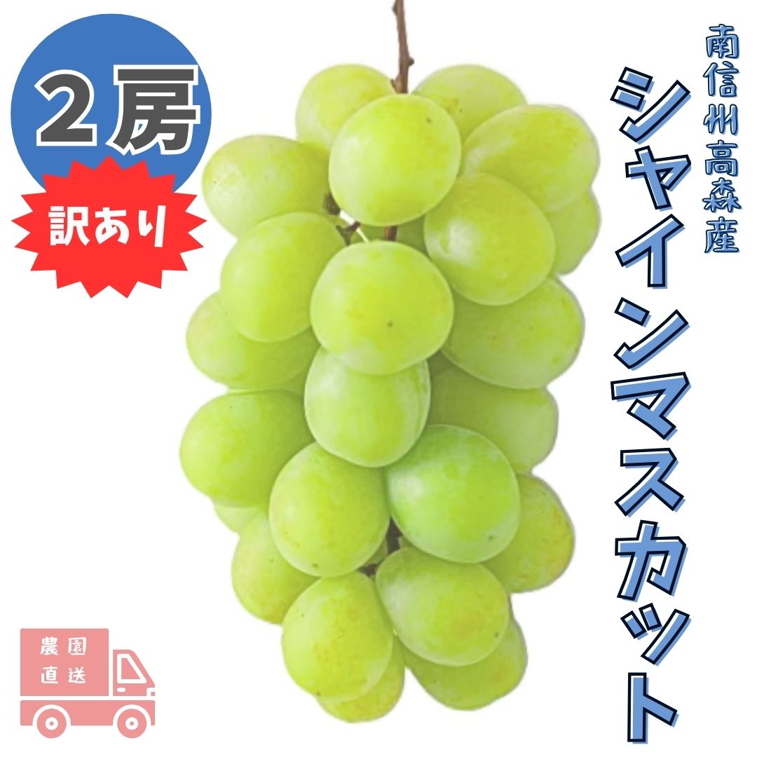 【南信州高森産】訳ありシャインマスカット 2房 長野県 信州 農家直送 果物 くだもの ぶどう 旬のぶどう ご家庭用 鶴屋農園