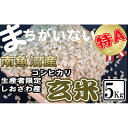 【ふるさと納税】米 玄米 コシヒカリ 南魚沼しおざわ産 5kg | お米 こめ 食品 コシヒカリ 人気 おすすめ 送料無料 魚沼 南魚沼 南魚沼市 新潟県 玄米 産直 産地直送 お取り寄せ