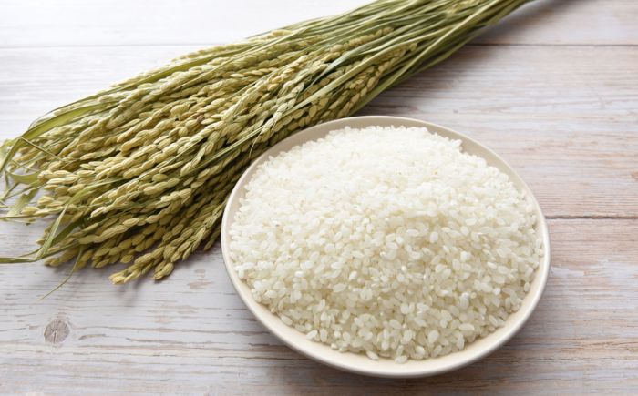 北海道産 ゆめぴりか・ななつぼし 食べ比べセット 10kg (各5kg) | 特Aランク お米 米 精米 ゆめぴりか ななつぼし | 北海道ふるさとセンター [BOBY003]