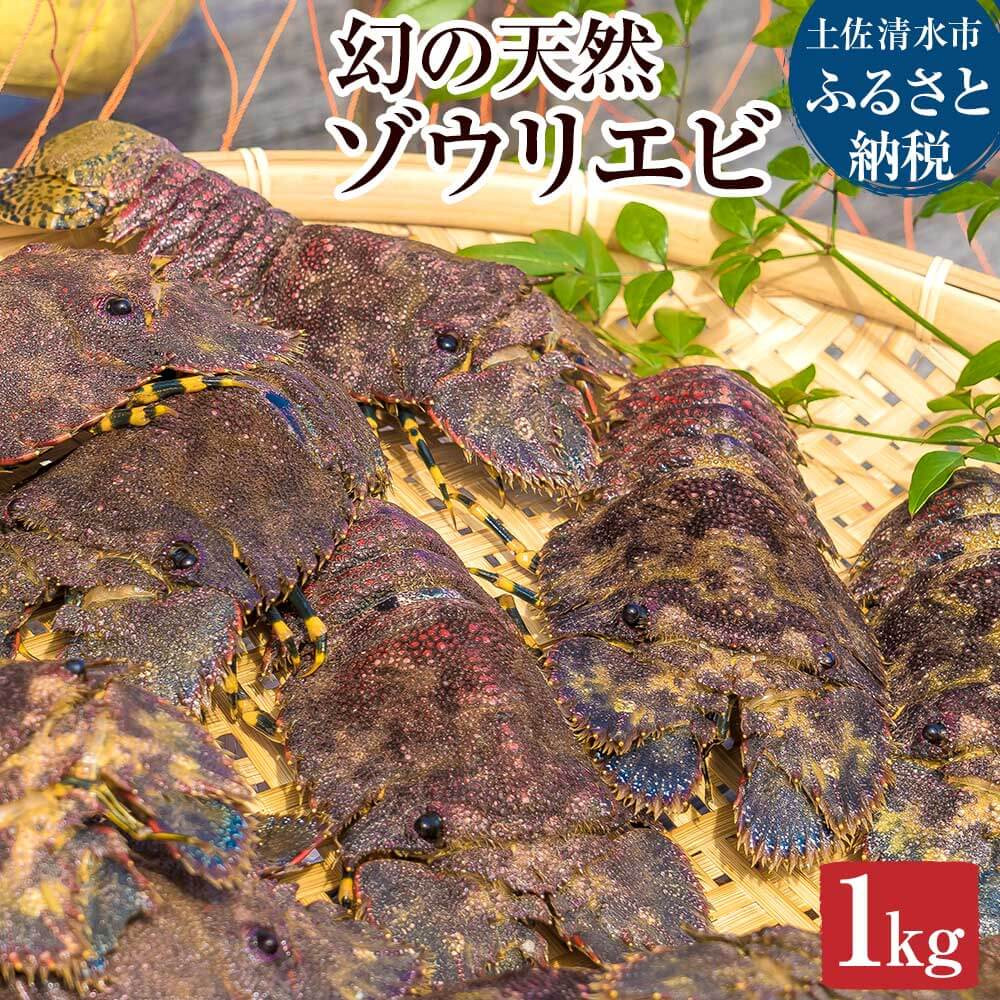
                  幻の天然ゾウリエビ１kg（サイズおまかせ）※着日指定不可※タビエビ 甲殻類 海老 地元ですら流通しない希少セミエビ科  高知県産 エビ ゾウリエビ 冷蔵 新鮮 美味しい 希少【R00620】
                