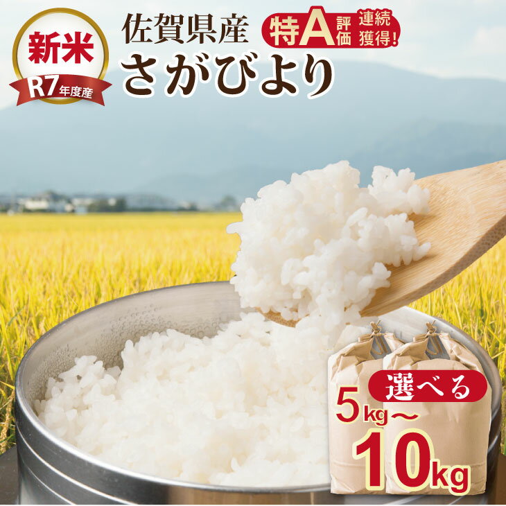 【ふるさと納税】選べる内容量 R7年度産（令和7年度産） 佐賀ブランド 米「 さがびより 」5kg 10kg（5Kg×2袋）ほたるの郷 直売所 精米 白米 5キロ 10キロ 単位 もちもち 食感 冷めても 美味しい お一人様 ご家族用 ランキング 特A 評価 【C250-009】