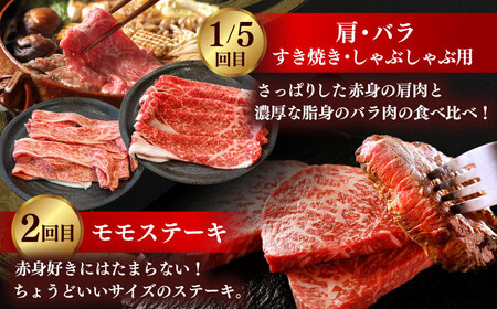 【全5回定期便】肉質日本一！しまね和牛 寄附額10万円分 計2kg 食べ比べ セット 和牛 牛肉 ステーキ 焼肉 島根県雲南市/Do corporation株式会社[AIDI017]