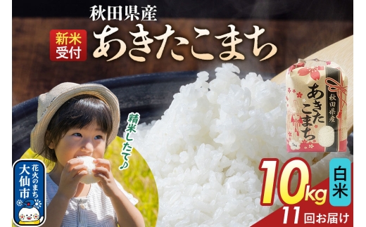 《新米》 《定期便11ヶ月》【白米】あきたこまち 一等米 10kg（5kg×2） 秋田県産 令和8年産  こまちライン 秋田県 大仙市産 [秋田 お米 米どころ あきたこまち こまちライン]