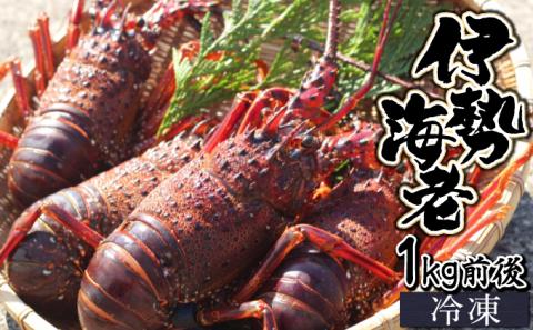 KU346 【先行予約】＜生冷凍・数量限定＞宮崎県串間産 天然伊勢エビ(計約1kg前後・2～4匹) 【合同会社Houryoumaru】