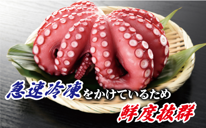 【旨味た～っぷりの最上級タコ】 五島 浜茹で 真タコ 冷凍 500g【カミティバリュー】 [RBP017]
