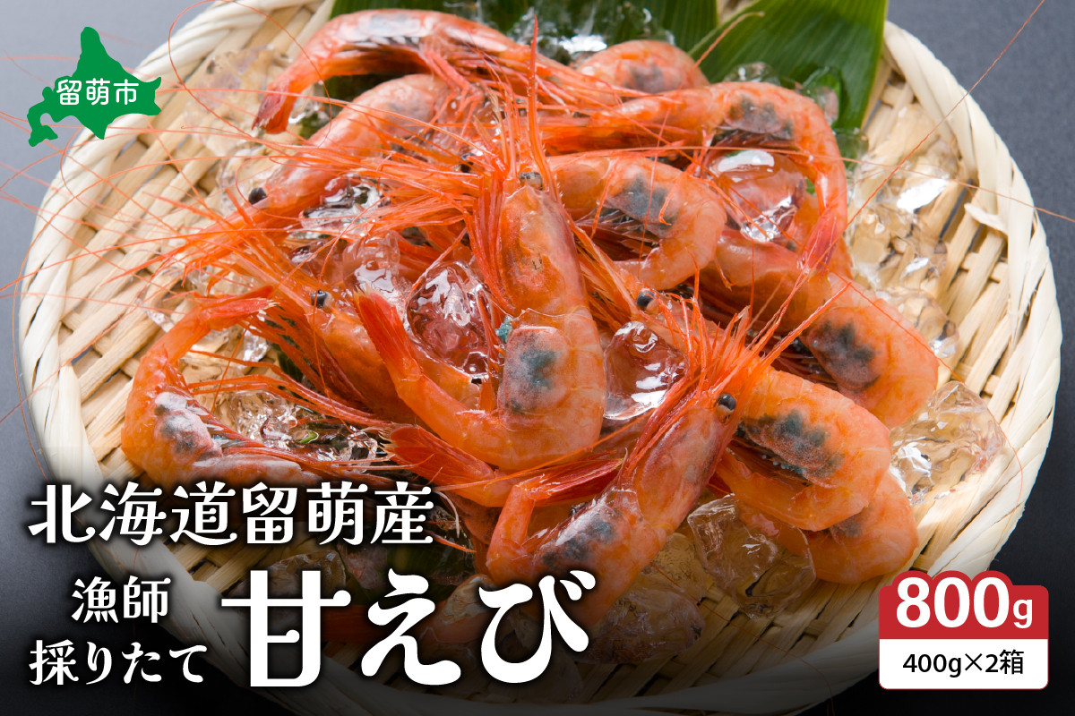 
            北海道留萌産　漁師採りたて甘えび400g×2箱
          
