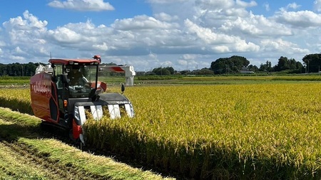 令和7年産 茨城県産 新米 にじのきらめき 10kg 玄米