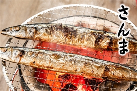 【北海道根室産】さんま明太2尾×5P・糠さんま3尾×5P・冷凍生さんま4尾×5P B-32050