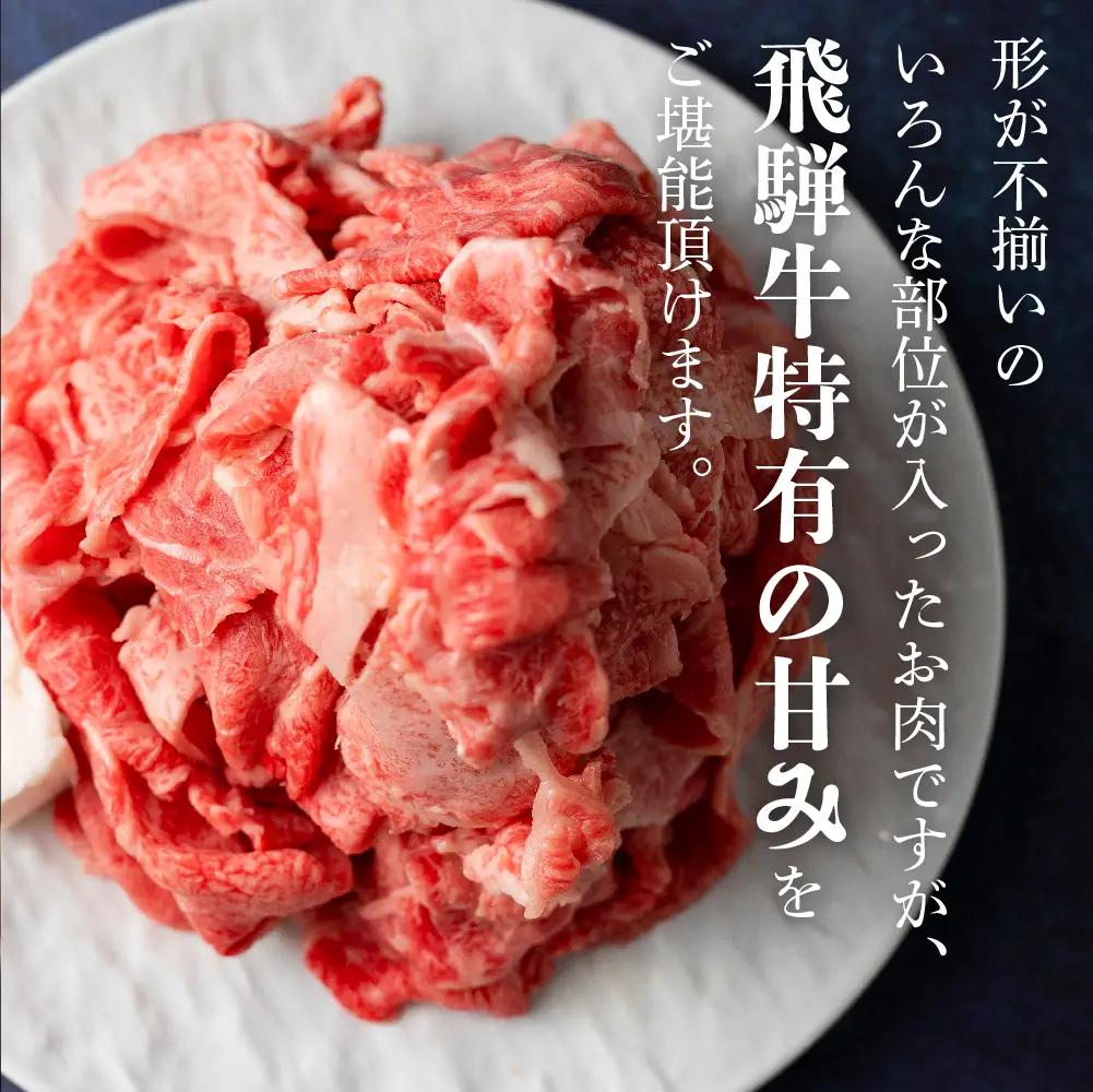 訳あり 飛騨牛切り落とし 500g |  牛肉 牛肉 BV032　FN-Limited-VO
