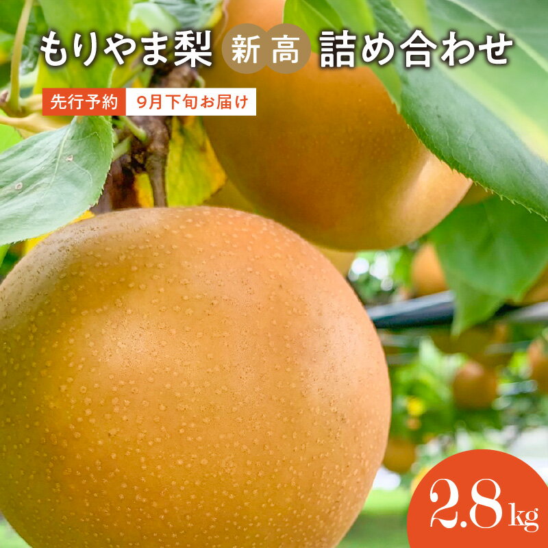 【ふるさと納税】先行予約　びわこもりやまフルーツランドもりやま梨　 新高 詰め合わせ 箱入 ギフト　大玉 果汁たっぷり 完熟採り　生産農家直送 果物 フルーツ 滋賀県 守山市 送料無料