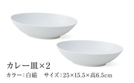 【美濃焼】 miyama. カレーとパスタ うつわ クリース 白磁 2個 瑞浪市 / ミヤマプランニング 食器 皿 プレート [AZCM052]