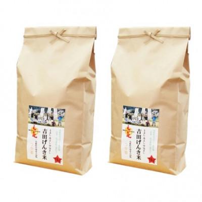 ふるさと納税 雲南市 島根県雲南市産　吉田げんき米　つや姫　10kg(5kg×2) |  | 01