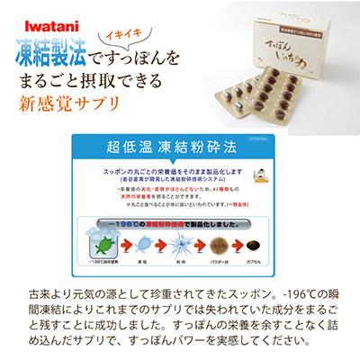 ふるさと納税 忠岡町 スタイリッシュショーツ　ベージュ　M 吸水ショーツ2枚+すっぽんサプリ60粒 |  | 02