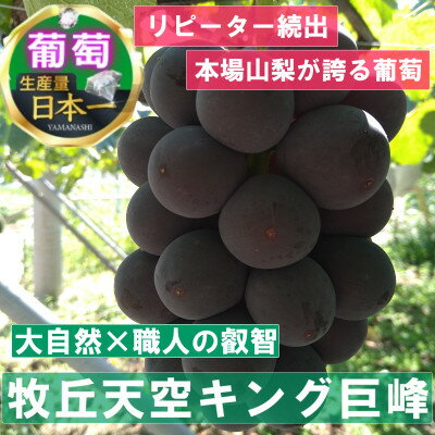 【ふるさと納税】【2025年先行予約】2025年9月下旬発送「幻の牧丘天空キング巨峰」 約1kg(2～3房)【配送不可地域：離島・沖縄県】【1473334】