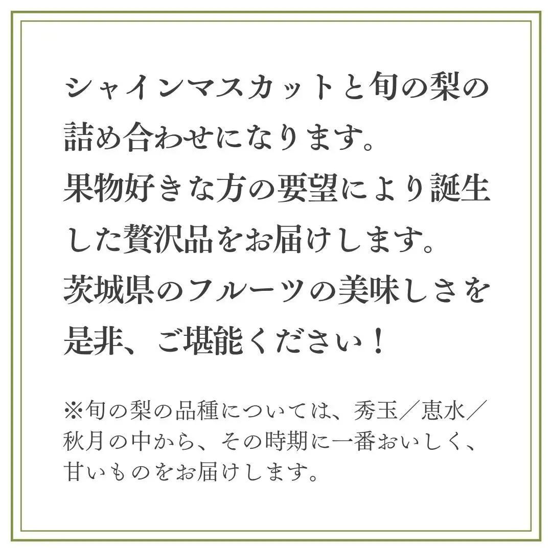 【2026年9月上旬発送開始】 茨城県産 「 シャインマスカット ３房 」 と「旬の 梨 」 詰め合わせ 約 5kg【茨城県共通返礼品／常陸太田市】 桧山果樹園 農家直送 桧山果樹園 農家直送 フルー