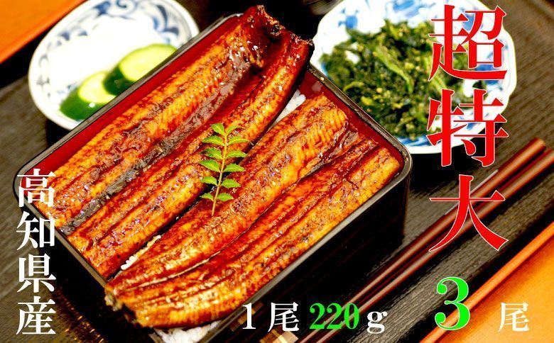 高知県産 うなぎ蒲焼き 220ｇ　3尾セット