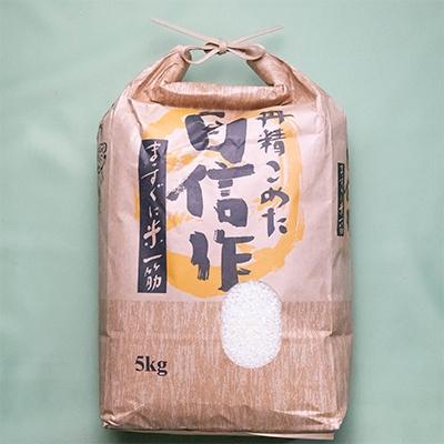 ふるさと納税 佐渡市 佐渡外海府産コシヒカリ精米5kg