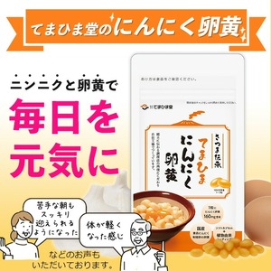 No.1278-B ＜定期便・全6回(隔月)＞てまひま にんにく卵黄(1袋 62粒入・2袋×6回) 鹿児島 日置市 ニンニク 健康食品 栄養 元気 有精卵 カプセル 安全安心 選べる 定期便 頒布会 
