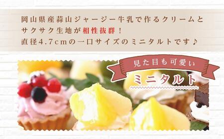 フレッシュタルト 専門店 「STYLE」岡山みにたると 厳選 5種（20個入）【配達不可：離島】 [No.5220-0611]