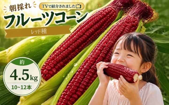 【2027年先行予約】南国フルーツコーン レッド種 約4kg(8～11本) | とうもろこし トウモロコシ コーン スイートコーン フルーツとうもろこし もぎたて 新鮮 朝採れ 朝どり 夏野菜 旬 期間限定 数量限定 産地直送 農家直送 フルーツのような甘さ 甘い 激甘 皮付き 家庭用 高知県 南国市 BBQ バーベキュー キャンプ アウトドア