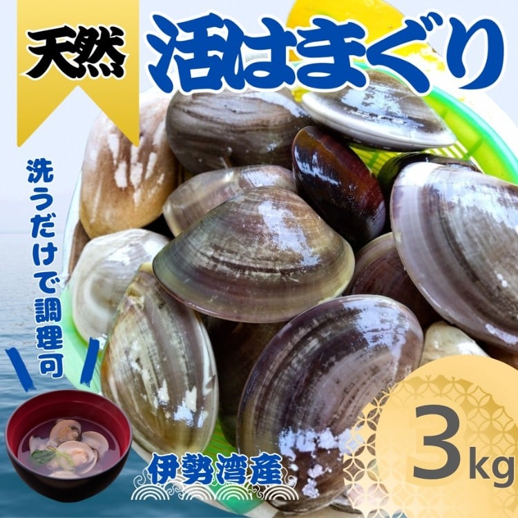 
            天然 はまぐり 3kg | 活はまぐり 天然はまぐり 蛤 ハマグリ 伊勢湾  天然 活 冷蔵 魚介 魚貝 海鮮 貝 出汁 だし 味噌汁 酒蒸し グラタン お祝い ひなまつり 節句 おせち 贅沢 人気 おすすめ 愛知県 美浜町 ※北海道・沖縄・離島への配送不可
          