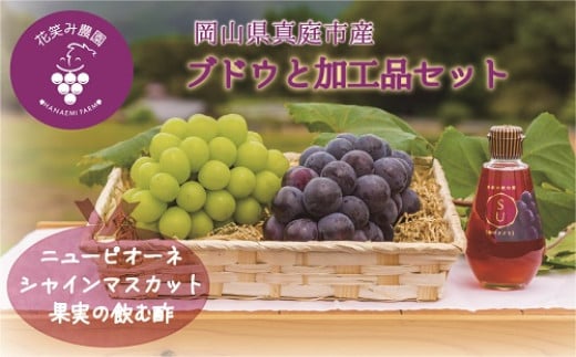 .岡山　花笑み農園『ピオーネ＆シャインマスカット＆果実の飲む酢ピオーネ』 【hana10-2】