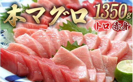 【串本町×北山村】本マグロ（養殖）トロ＆赤身セット1350ｇ【8月発送】【nks111-8】