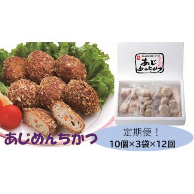 ふるさと納税 諫早市 【毎月定期便】あじめんちかつ30個入り全12回
