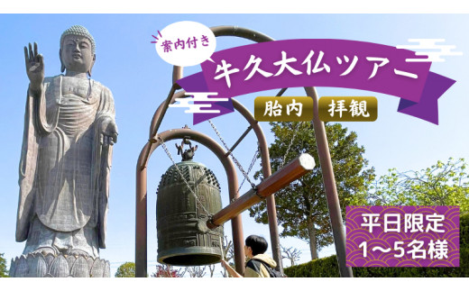 
《 案内付き 》 牛久大仏 胎内 拝観 ツアー ※ 平日限定 ※ （ 5名様まで ） 貸切 体験 参加券 体験チケット 観光
