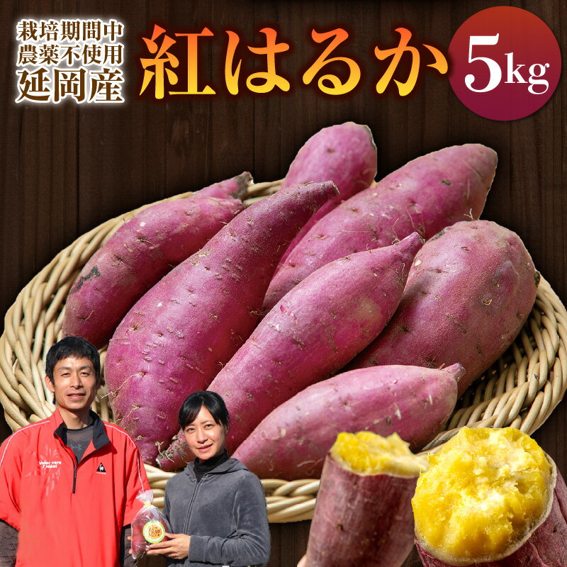 【ふるさと納税】さつまいも 紅はるか 5kg 栽培期間中農薬不使用 芋 焼きいも おやつ 国産 宮崎県 延岡市 送料無料
