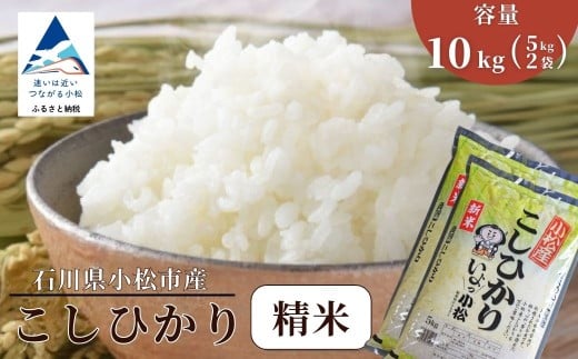 【先行予約】 令和8年産 小松市産 こしひかり 精米 10kg（5kg×2袋）  米 小松市産コシヒカリ | 石川県 小松市 【JA小松市】