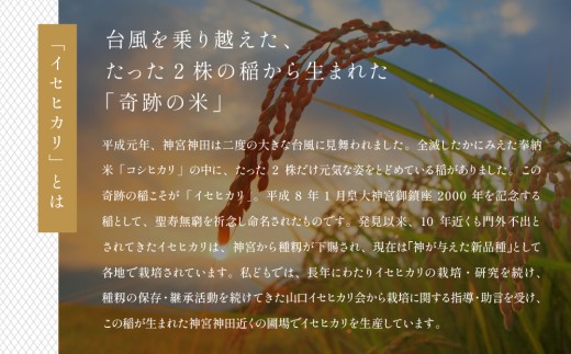 26-10 イセヒカリ海中熟成酒 純米大吟醸「里募音」500ml×1本
