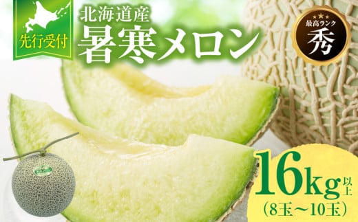 【令和7年産先行予約】北海道産 暑寒メロン 8～10玉 (8kg以上×2箱) 《2025年7月より発送予定》