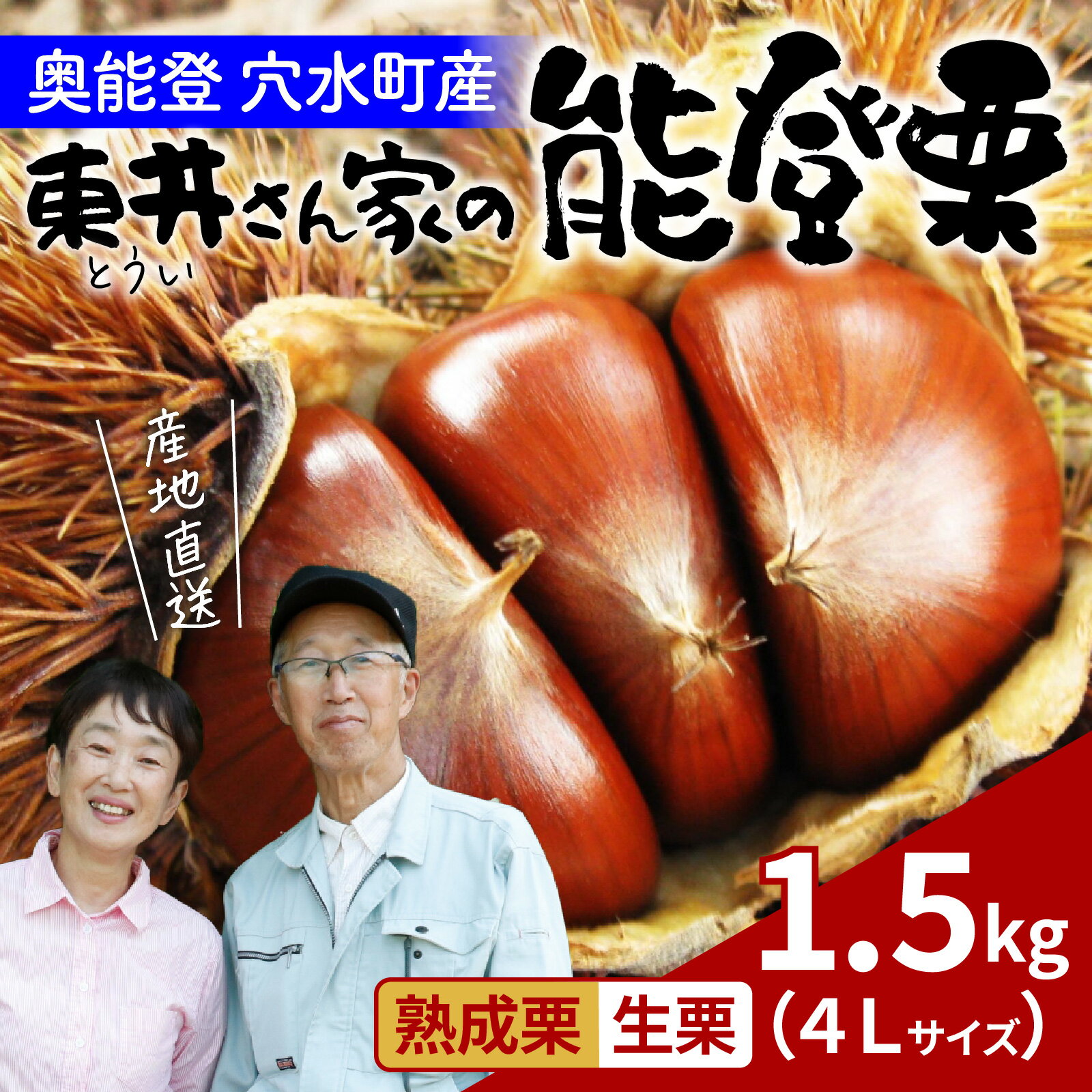 【ふるさと納税】【先行予約】東井栗園の能登熟成栗 1.5kg（4Lサイズ） ～能登の大地で育った能登栗～【2025年10月中旬以降順次発送】/能登半島 奥能登 くり 生栗 マロン 和栗 焼き栗 栗ごはん 焼き栗 国産 果物 送料無料