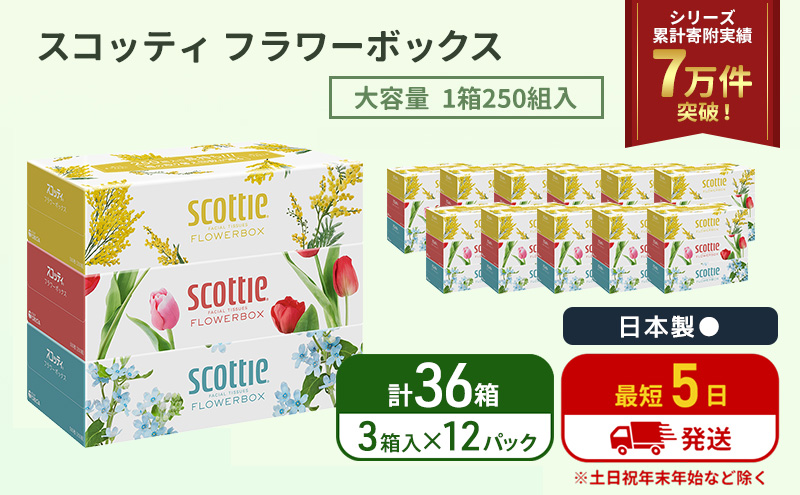 ティッシュ スコッティ フラワーボックス 36箱 ( 3箱 × 12パック )