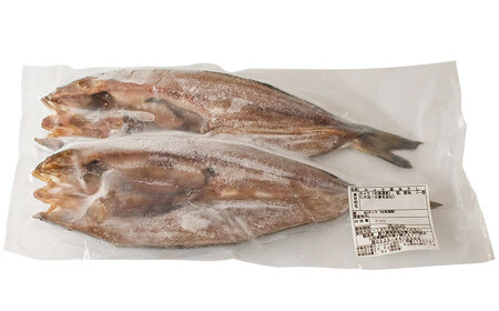 庄内浜加工　一夜干しセット（大）　鶴岡魚類株式会社　K-754