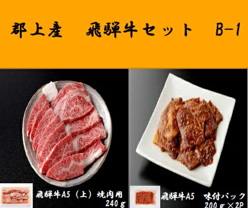 【ふるさと納税】郡上産飛騨牛セットB-1［A5等級］味付肉200g×2P・(上)焼肉240g / 食品 精肉 肉加工品 牛肉 その他 20000円