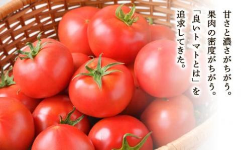 中野ファームのトマトジュース 720ml×2本セット食塩無添加 添加物不使用 100% 北海道_Y026-0013