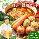 【ふるさと納税】北海道産 カレー 野菜 セット じゃがいも とうや メークイン 北あかり 玉ねぎ 人参 ジャガイモ 馬鈴薯 ポテト 玉葱 タマネギ ニンジン 旬 産地直送 野菜 農作物 ふじいファーム 送料無料　 伊達市 　お届け：2024年8月下旬から順次出荷