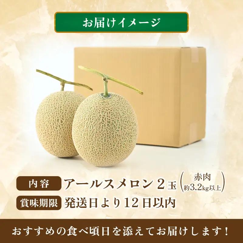 【先行予約】【赤肉】秋 アールスメロン 2玉（計約3.2kg以上）赤肉品種 高級メロン！ ／ マスクメロン 大玉 果物 フルーツ 夏 ギフト 農家直送  ※2026年9月中旬以降発送  [aw065-