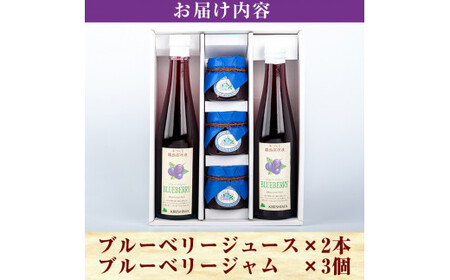 A-041 ブルーベリージュース・ジャムセット【霧島農産加エグループふきのとう】霧島市 ブルーベリー ジャム 詰め合わせ 新鮮 加工品 詰合せ フルーツ